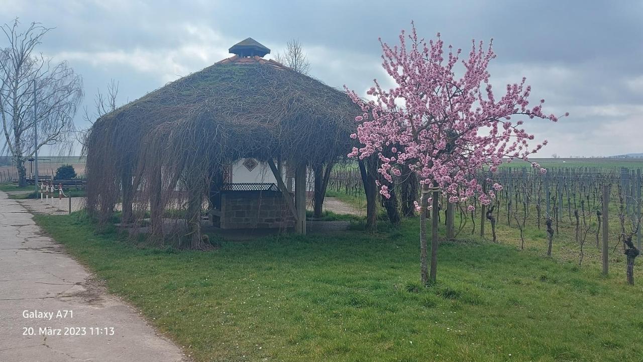 Ferienwohnung Zum Weinberg Grosskarlbach Eksteriør billede