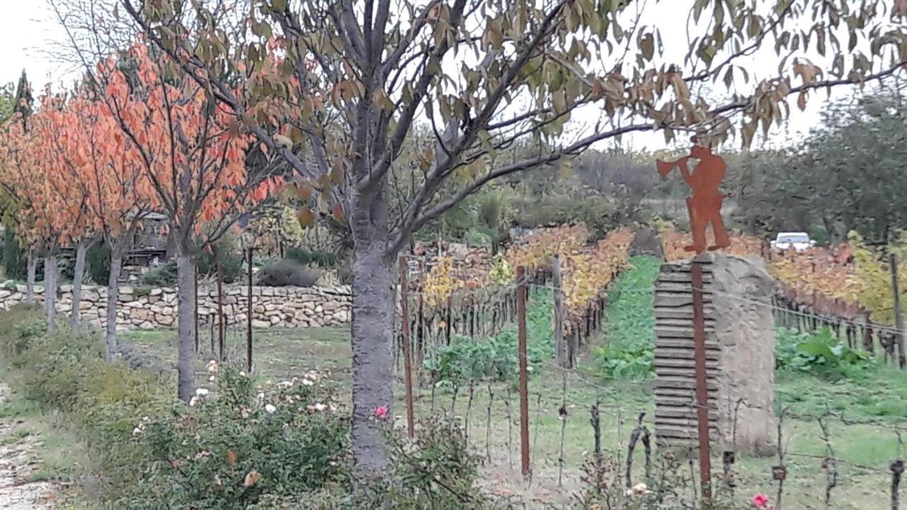 Ferienwohnung Zum Weinberg Grosskarlbach Eksteriør billede